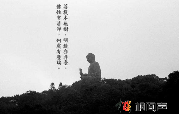 菩提本无树，明镜亦非台，本来无一物，何处惹尘埃