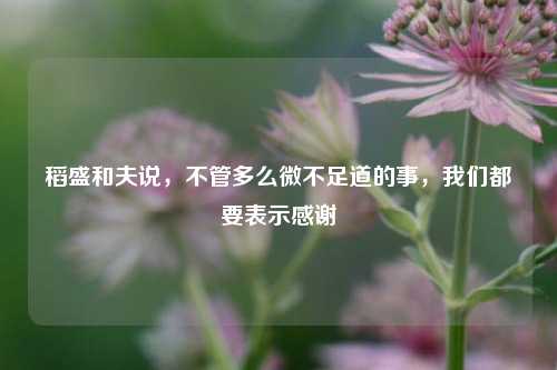 稻盛和夫说，不管多么微不足道的事，我们都要表示感谢